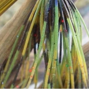 Custom Jig Skirt - Militant Craw (2 Pack) Custom Jig Skirt - Militant Craw (2 Pack)