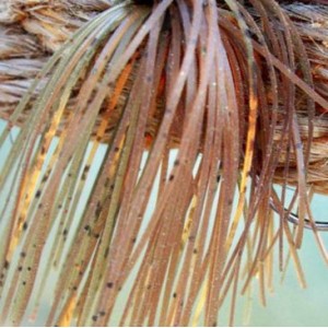 Custom Jig Skirt - Natures Craw (2 Pack) Custom Jig Skirt - Natures Craw (2 Pack)