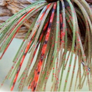 Custom Jig Skirt - Red Olive (2 Pack) Custom Jig Skirt - Red Olive (2 Pack)